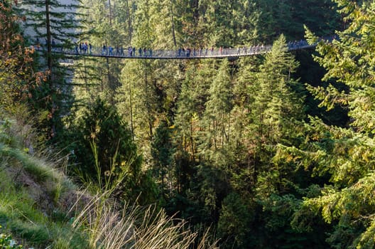 Vancouver, Canada - October 20,2018: Tourists walking on the Capilano Suspension Bridge park across Capilano river located in North Vancouver, British Columbia, Canada