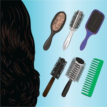Set of brushes for hairstylist vector illustration isolated