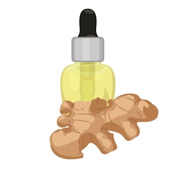 Ginger essential oil in a dropper vector illustration isolated on a white background