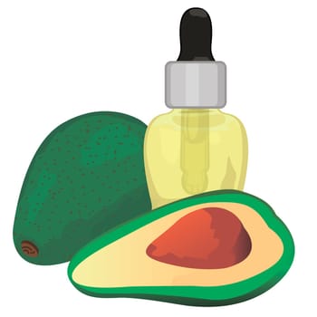Avocado essential oil aromatherapy essence for massage procedures vector illustration