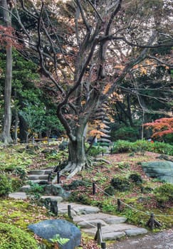 Tokyo Metropolitan Park KyuFurukawa japanese garden's stone stairs in the forest of maples and pines leading to a giant fifteen storied stone pagoda Kuyoto which symbolizes the thirteen Buddhist deitys prayed during the funeral calendar.