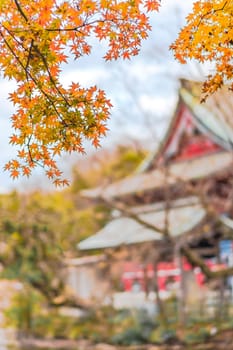 Autumn foliage overlooking a japanese temple Benzaiten in the forest parc of Inokashira in Kichijoji city