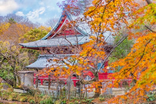 Autumn foliage overlooking a japanese temple Benzaiten in the forest parc of Inokashira in Kichijoji city