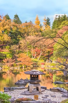 Tokyo Metropolitan Park KyuFurukawa's japanese garden's Yukimi stone lantern overlooking by red maple momiji leaves in autumn.