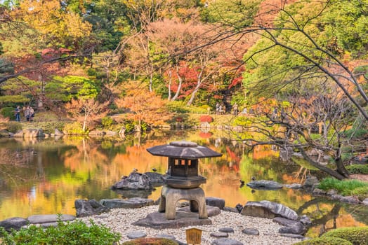 Tokyo Metropolitan Park KyuFurukawa's japanese garden's Yukimi stone lantern overlooking by red maple momiji leaves in autumn.