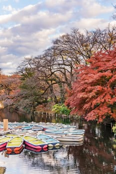 A collection of boats floating in the pond of Kichijoji Inokashira Park