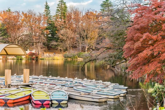 A collection of boats floating in the pond of Kichijoji Inokashira Park