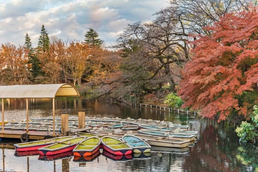 A collection of boats floating in the pond of Kichijoji Inokashira Park