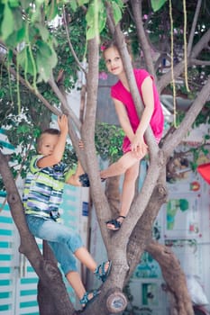 Boy and girl having fun in a tree