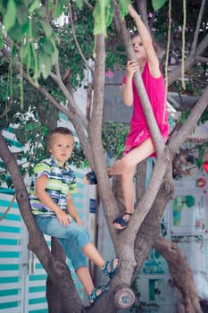Boy and girl having fun in a tree