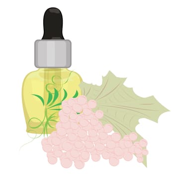 Grape seeds essential oil aromatherapy essence for massage procedures vector illustration