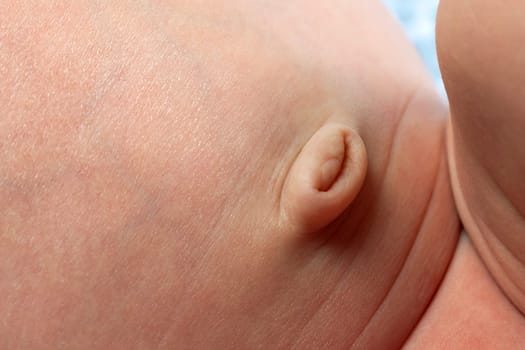 navel of newborn baby, closeup image - closeup shot newborn