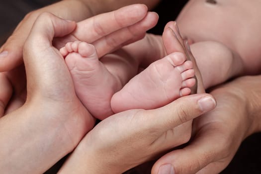 A close-up of tiny baby feet. High quality photo