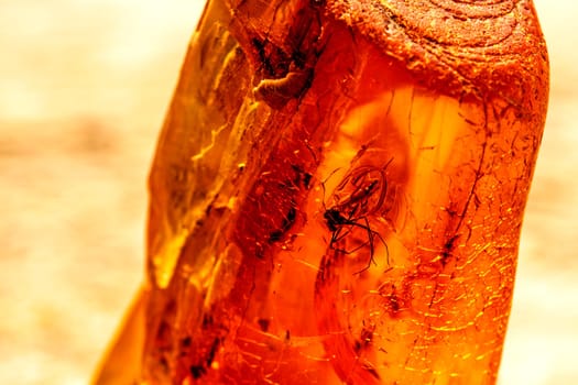 amber with inclusions