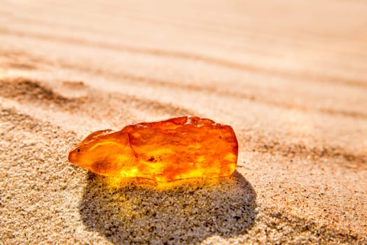 amber in sun on a beach of the Baltic sea in Poland