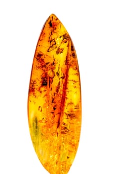 Amber in sun with inclusions.
