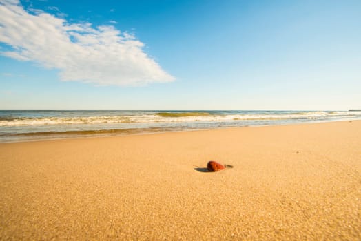 lonesome beach of the Baltic Sea with pebble