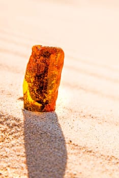 Amber in sun on a beach of the Baltic sea.