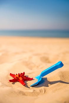 beach with kid toy shovel, and red sea star