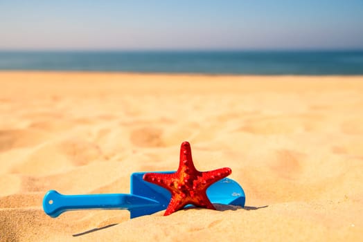 beach with kid toy shovel, and red sea star