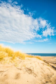 beach of the Baltic sea with beach grass