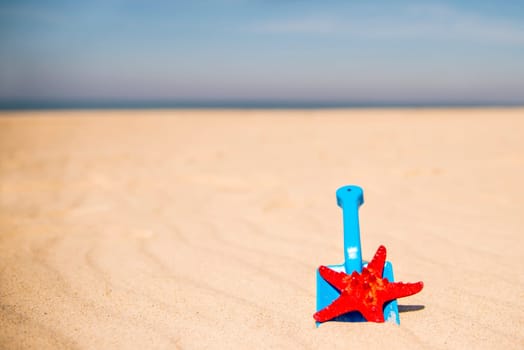 beach with kid toy shovel, and red sea star