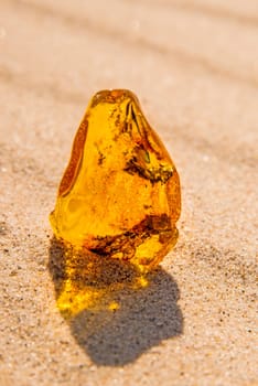 amber in sun on a beach of the Baltic sea in Poland