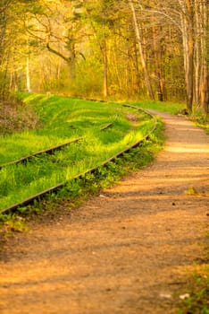 rails out of order, overgrown with green grass