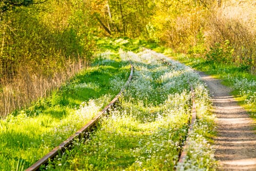 rails out of order with flowers