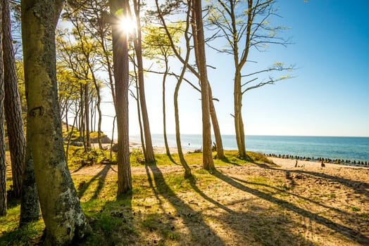 beach of the Baltic Sea in Orzechowo, Poland