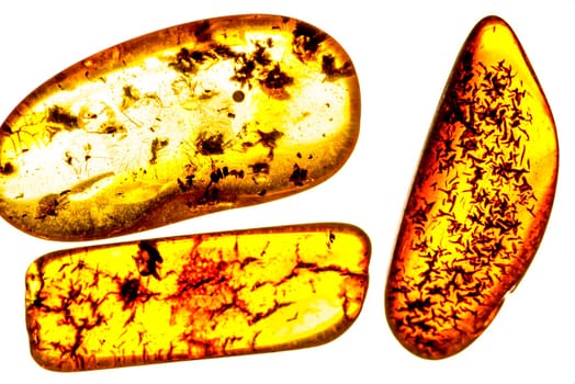 amber with inclusions