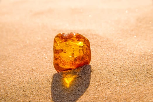 Amber on a beach of the Baltic Sea.