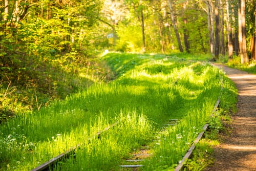 rails out of order, overgrown with green grass