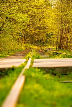 rails out of order, overgrown with green grass
