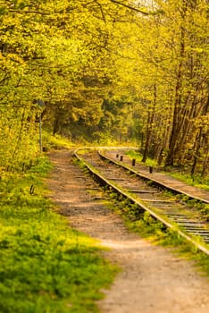 rails out of order, overgrown with green grass
