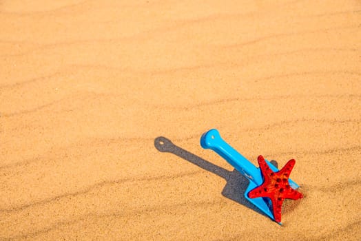 beach with kid toy shovel, and red sea star