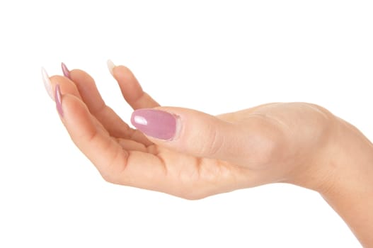 Body part of a single woman's hand holding open with Lila finger nail,.isolated for white background.