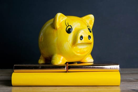 Yellow piggy bank stands on a stack of books on a dark background.