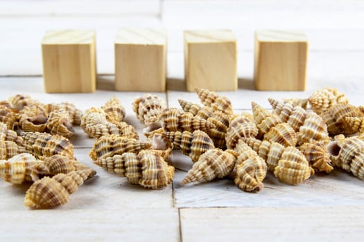 Shell-stocked in a bunch, there is room inside for a message together with the wood cubes on which you can write the text.
