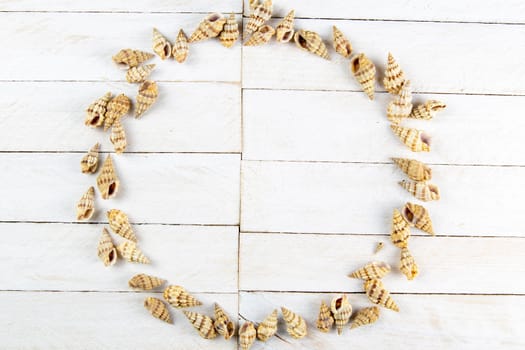 The shells are arranged in a circle, there is room inside for a message.