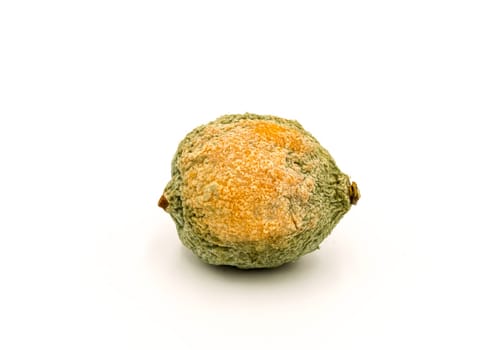 Close-up of half rotten lemon against white background