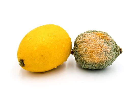 Citrons pourris et frais isolés sur fond blanc