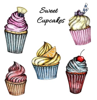 A collection of Colorful cupcakes with cream and berries. Watercolor hand drawing isolated on a white background