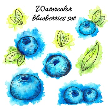 Set of hand drawn watercolor blueberries isolated on white