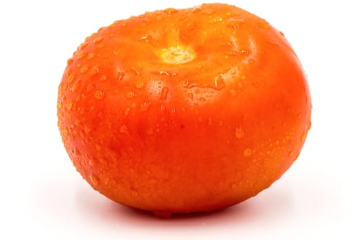 Close up of wet red tomatoes on white background