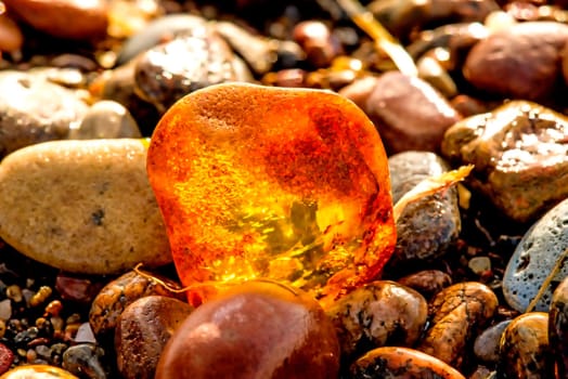 Amber on a beach of the Baltic Sea.