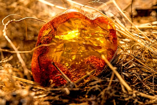 Amber on a beach of the Baltic Sea.