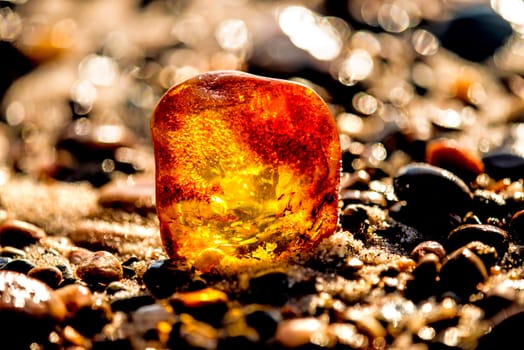 Amber on a beach of the Baltic Sea.
