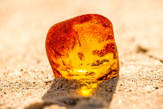 Amber on a beach of the Baltic Sea.