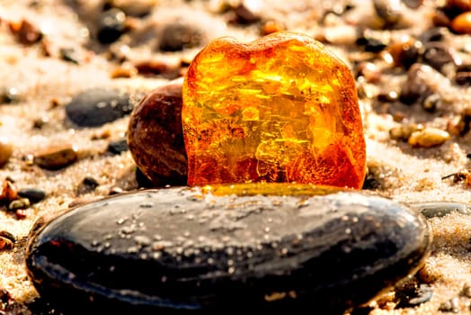 Amber on a beach of the Baltic Sea.